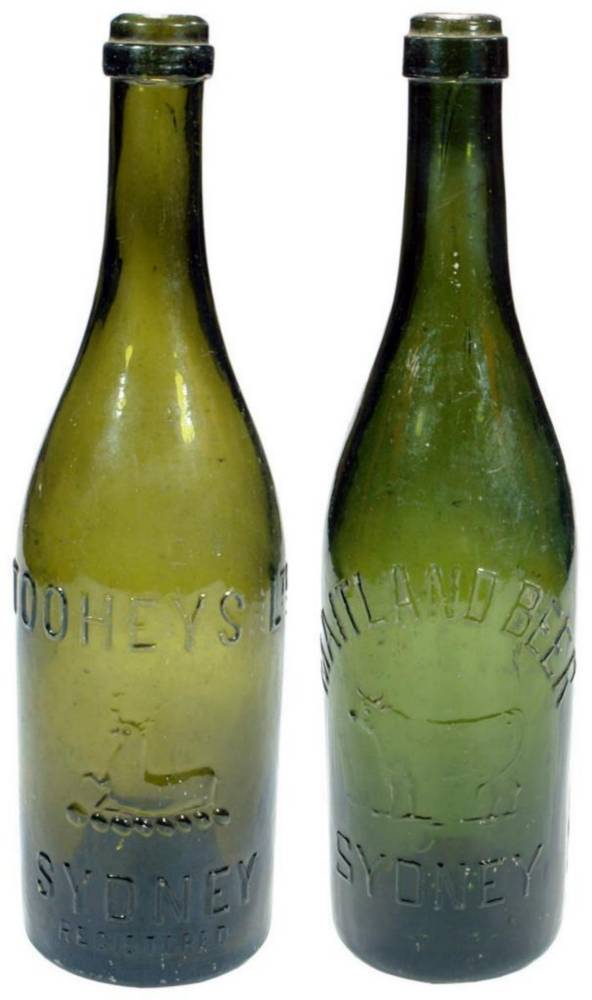 Tooheys Maitland Old Beer Bottles