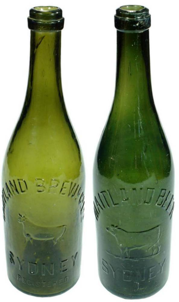 Pair Maitland Sydney Beer Bottles