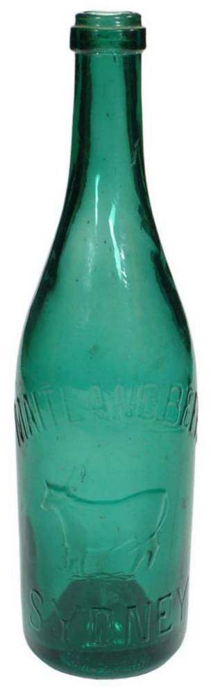 Maitland Beer Sydney Emerald Beer Bottle