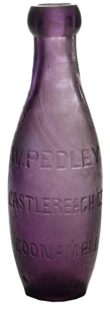 Pedley Castlereagh Coonamble Purple Skittle Bottle
