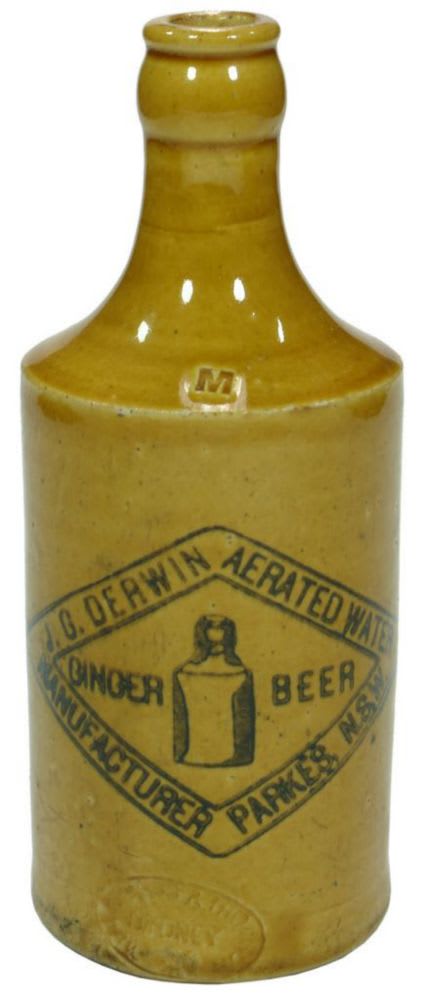 Derwin Parkes Crown Seal Ginger Beer Bottle