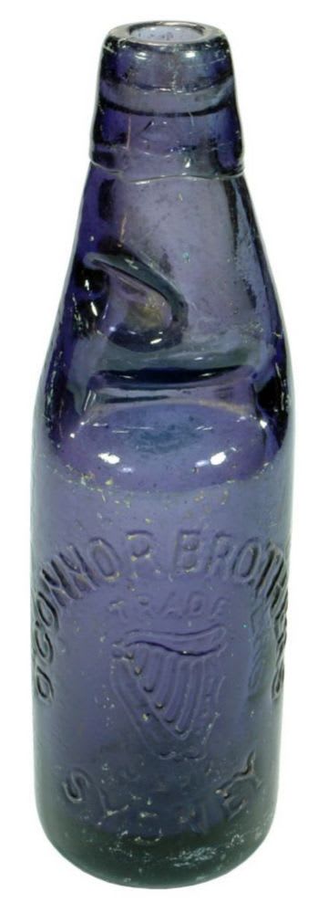 O'Connor Brothers Sydney Purple Codd Bottle