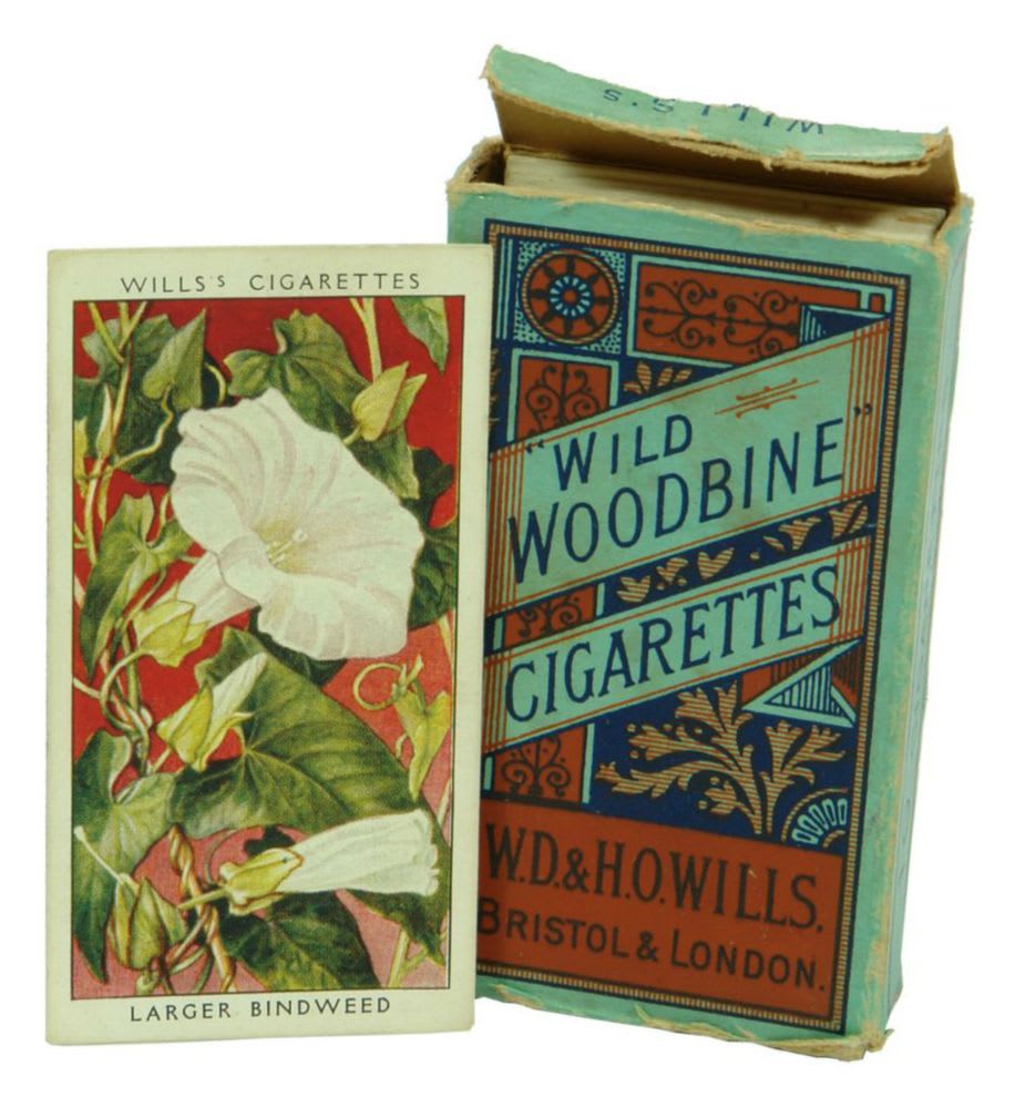 Wills Cigarette Cards Wildflowers
