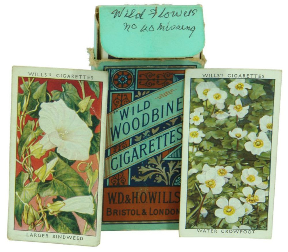 Wills Cigarette Cards Wild Flowers