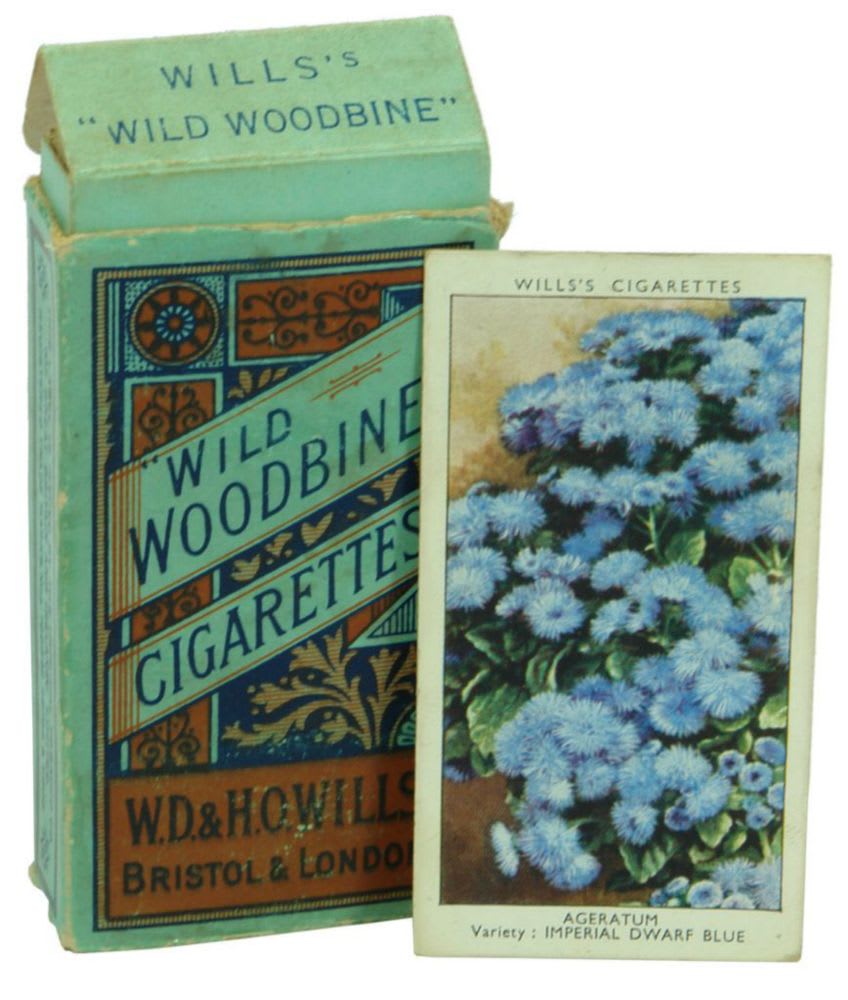 Wills Cigarette Cards Garden Flowers