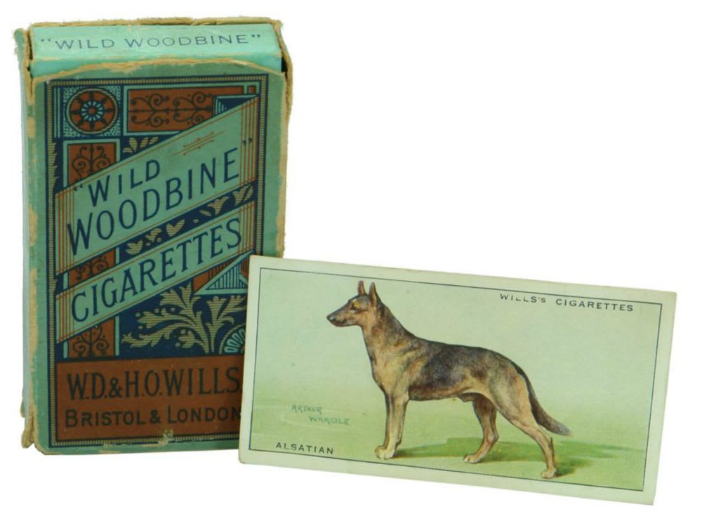 Wills Cigarettes Cards Dogs