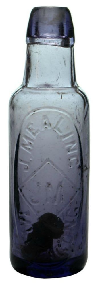 Mealing Mittagong Zapped Purple Lamont Bottle