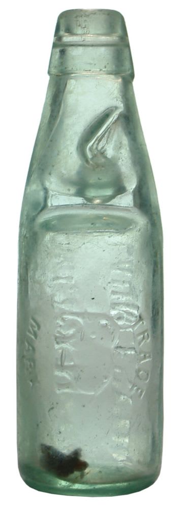 Thrower Launceston Elephant Codd Bottle