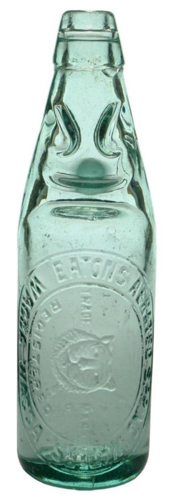 Eaton's Wagga Wagga Cats Head Codd Bottle