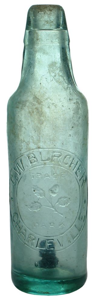 Burcher Charleville Acorns Lamont Aerated Water Bottle