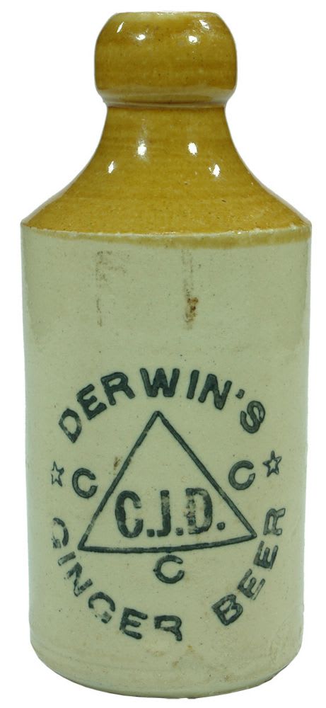 Derwin's Ginger Beer Stoneware Bottle