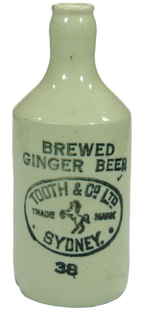 Tooth Invicta Sydney Brewed Ginger Beer Bottle