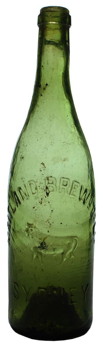 Maitland Brewing Co Sydney Bull Vintage Beer Bottle