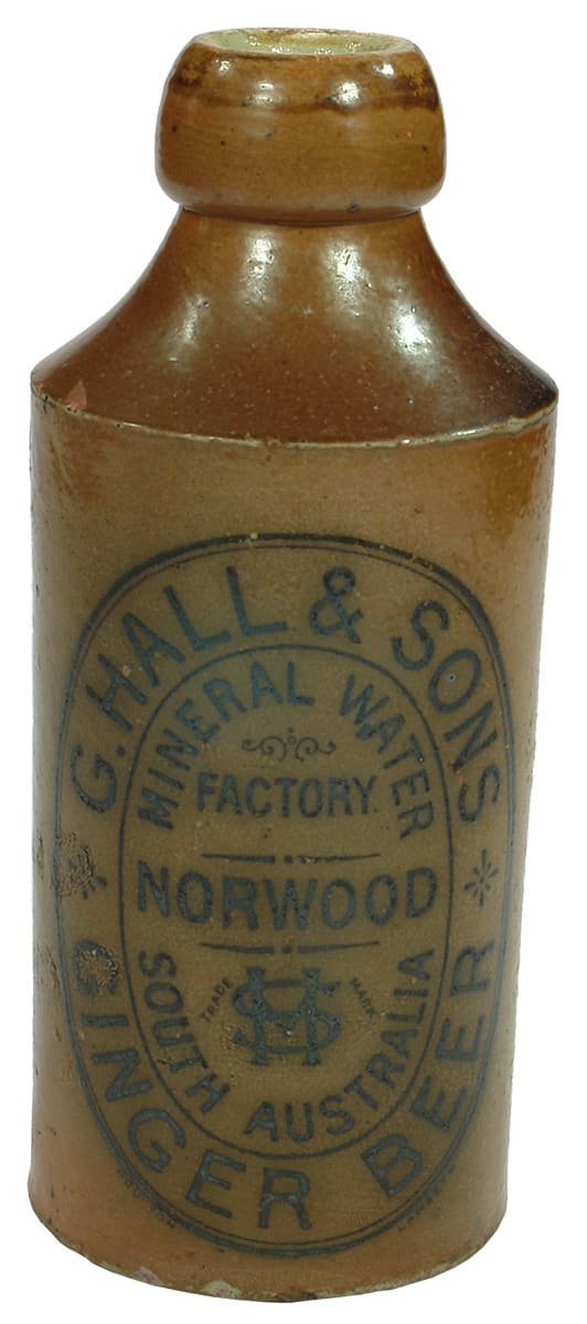 Hall Mineral Water Factory Norwood Ginger Beer Bottle