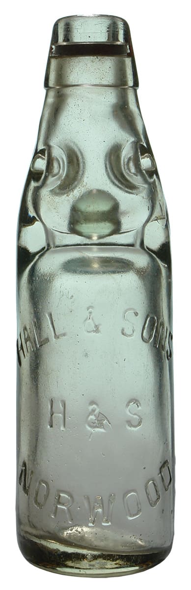Hall Sons Norwood Codd Marble Bottle