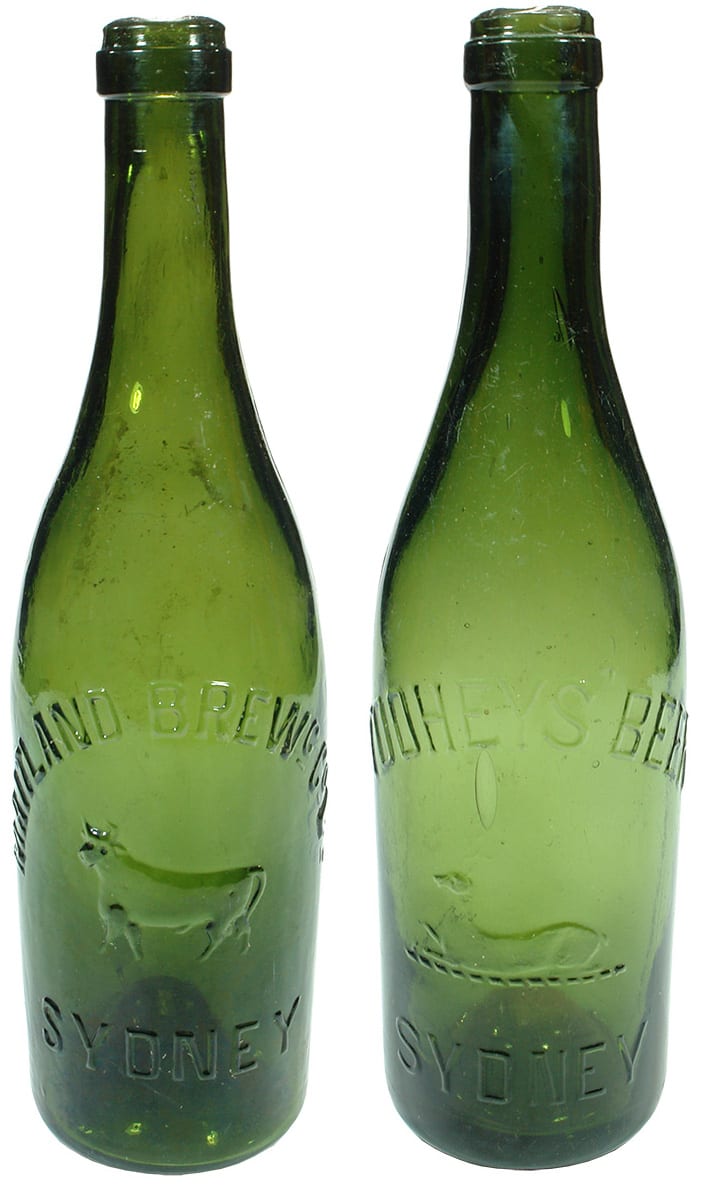 Maitland Tooheys Green Glass Beer Bottles