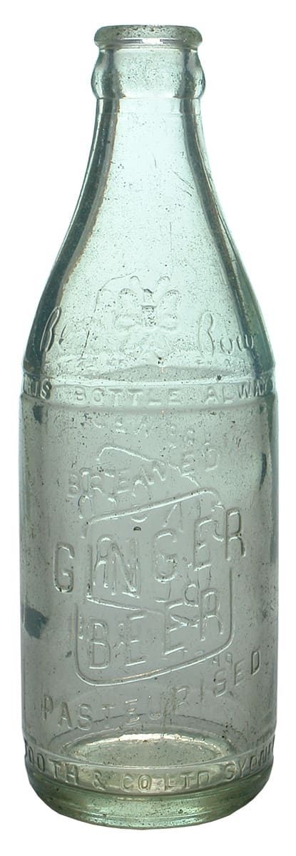 Tooth Sydney Blue Bow Ginger Beer Bottle