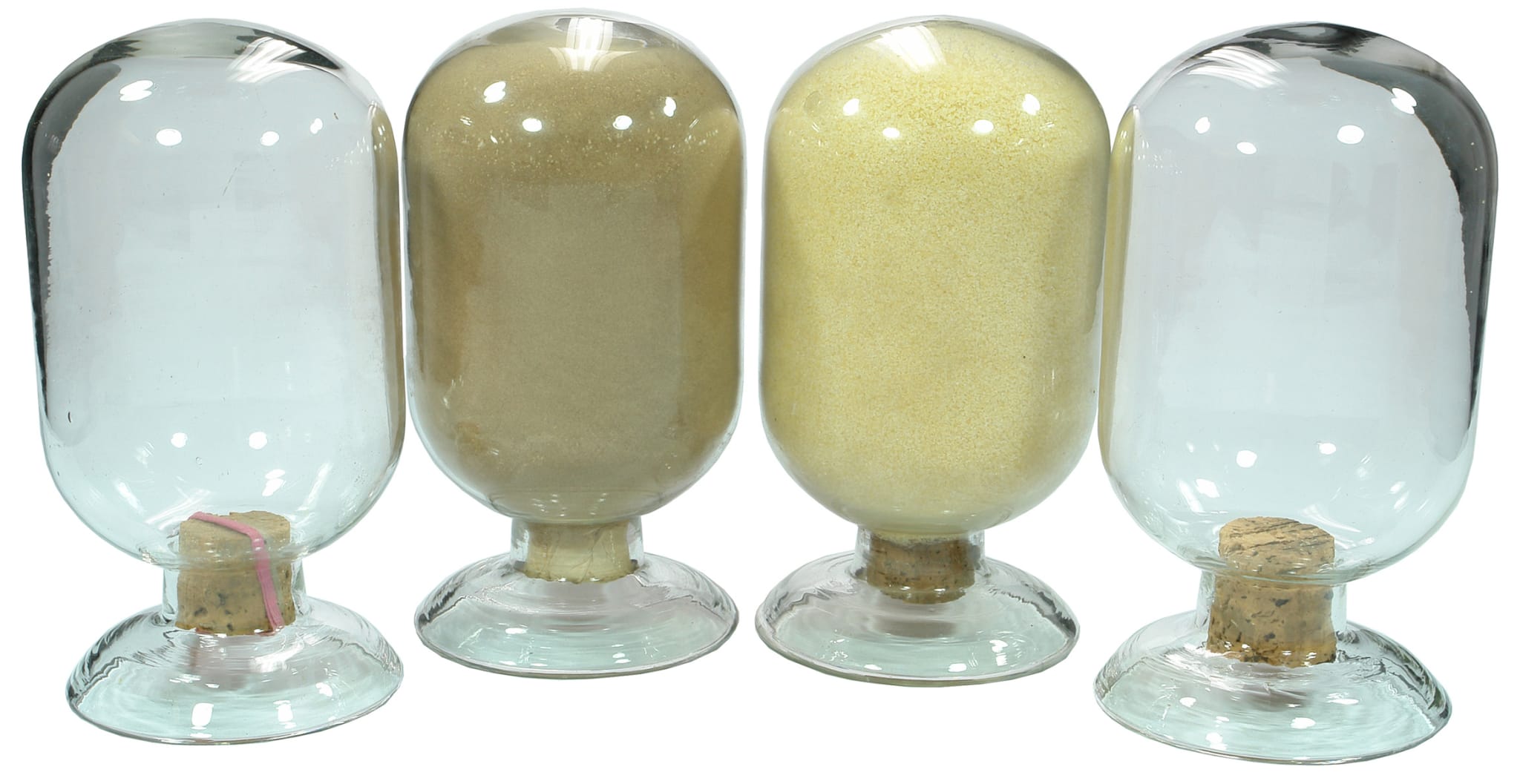 Apothecary Show Specimen Glass Domes