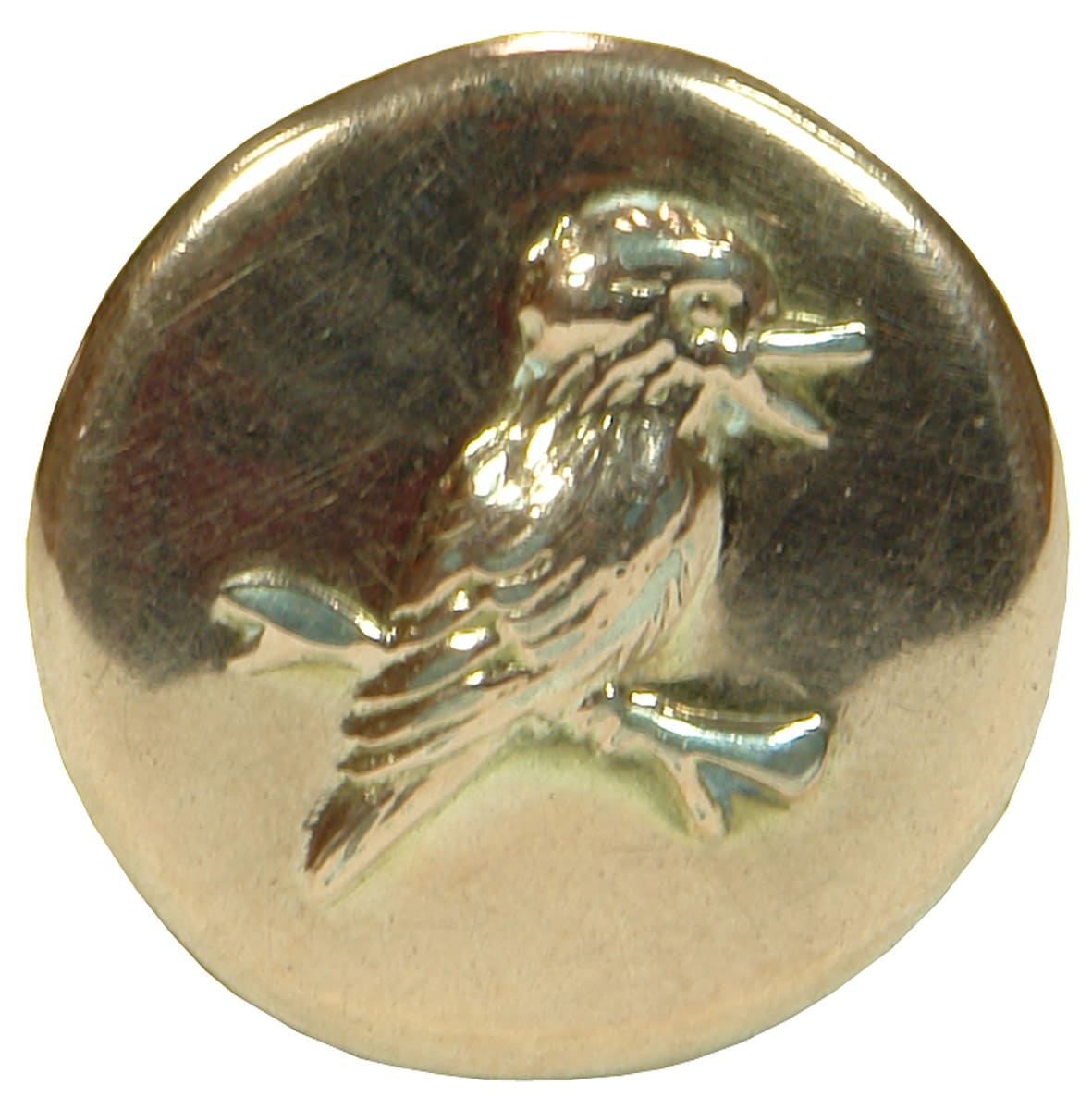 Kookaburra Brooch