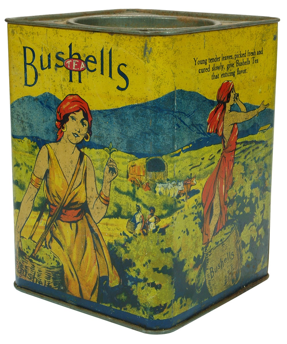 Bushell's Tea Tin