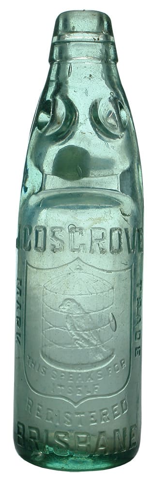 Cosgrove Brisbane Parrot Codd Marble Bottle