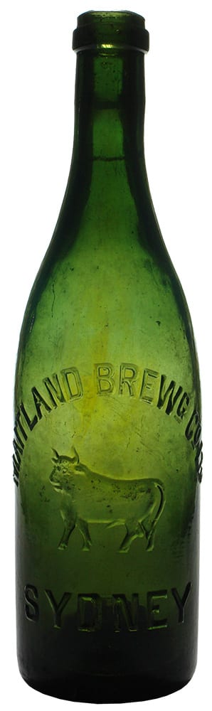 Maitland Brewing Compant Sydney Bull Old Bottle