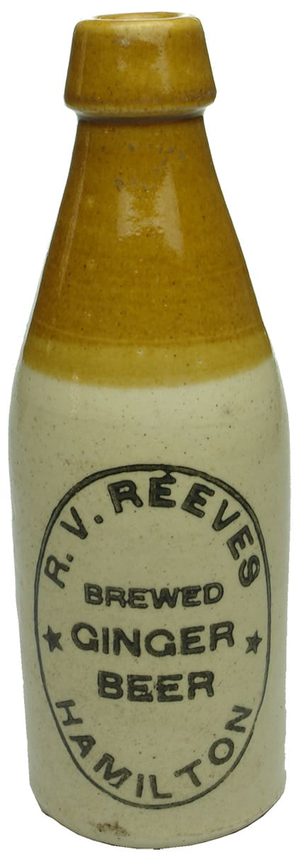 Reeves Brewed Ginger Beer Hamilton Bottle
