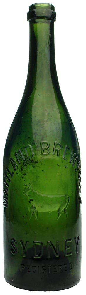 Maitland Brewing Sydney Bull Beer Bottle