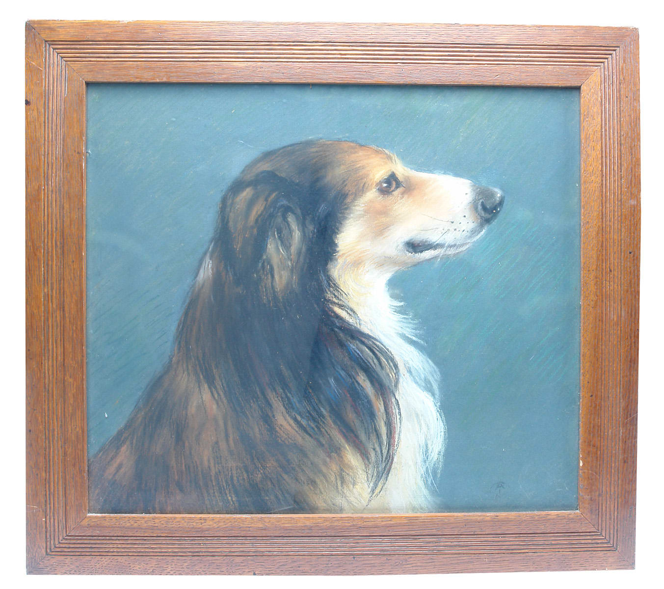 Rough Collie Agnes McIntosh Wheelers Hill Painting