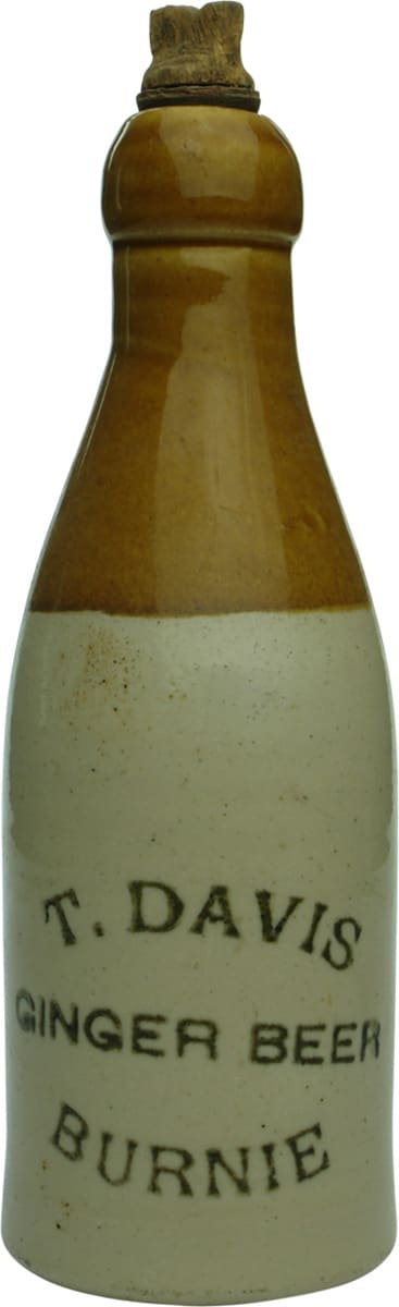 Davis Burnie Stone Ginger Beer Bottle