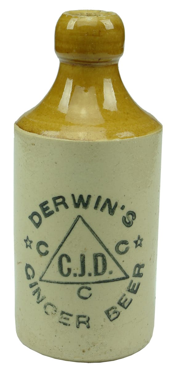 Derwin's Ginger Beer Stoneware Bottle