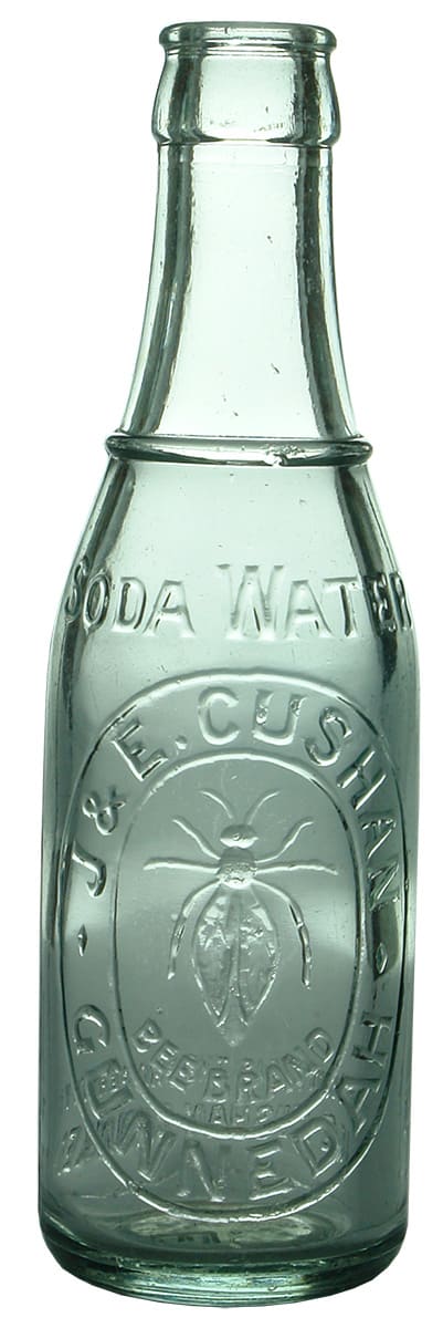 Cushan Gunnedah Soda Water Bee Crown Seal