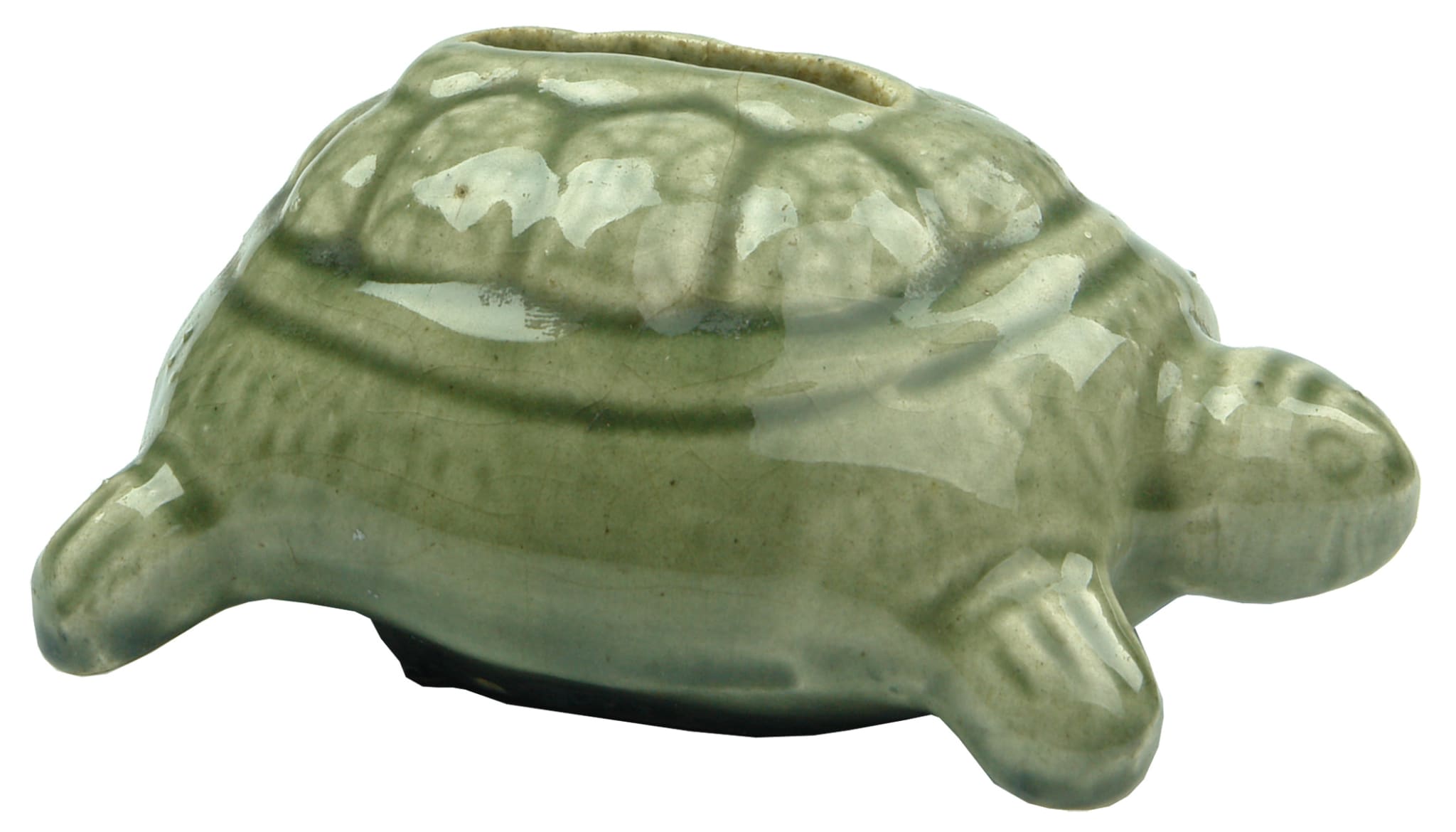 Ceramic Turtle Money Box