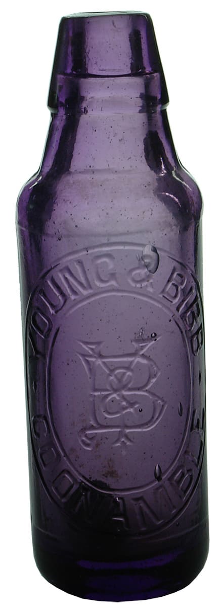 Young Bibb Coonamble Purple Lamont Bottle