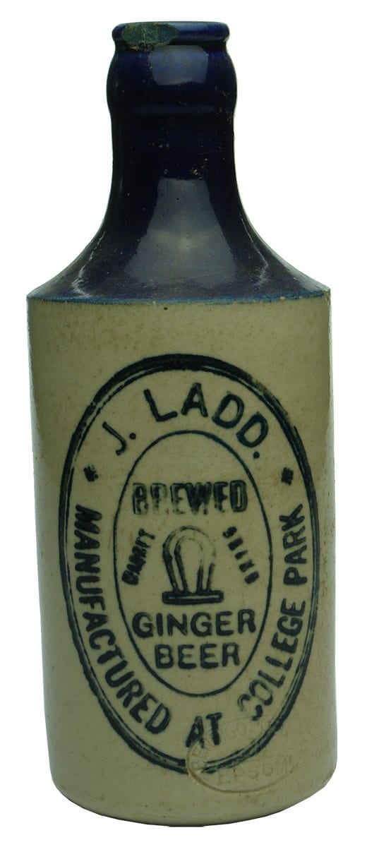 Ladd Brewed Ginger Beer Magnet Brand College Park Bottle