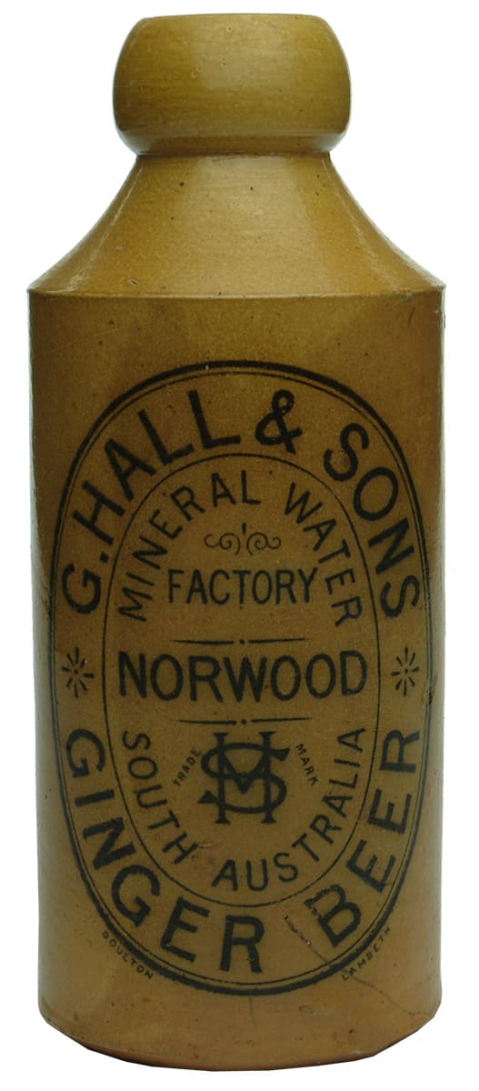 Hall Sons Norwood Ginger Beer Bottle