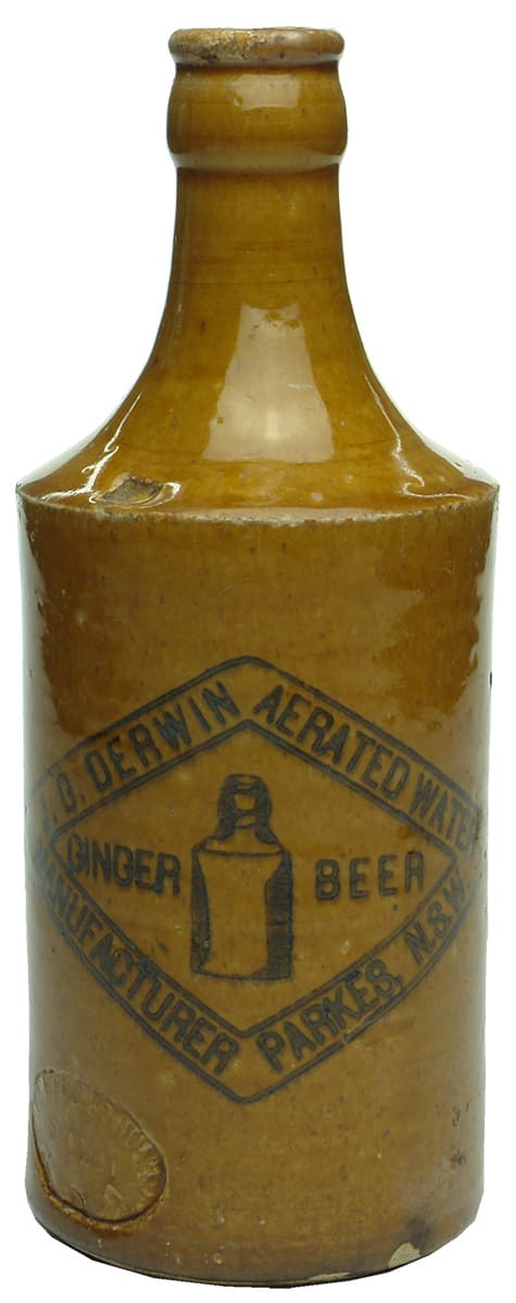 Derwin Parkes Ginger Beer Stoneware Bottle