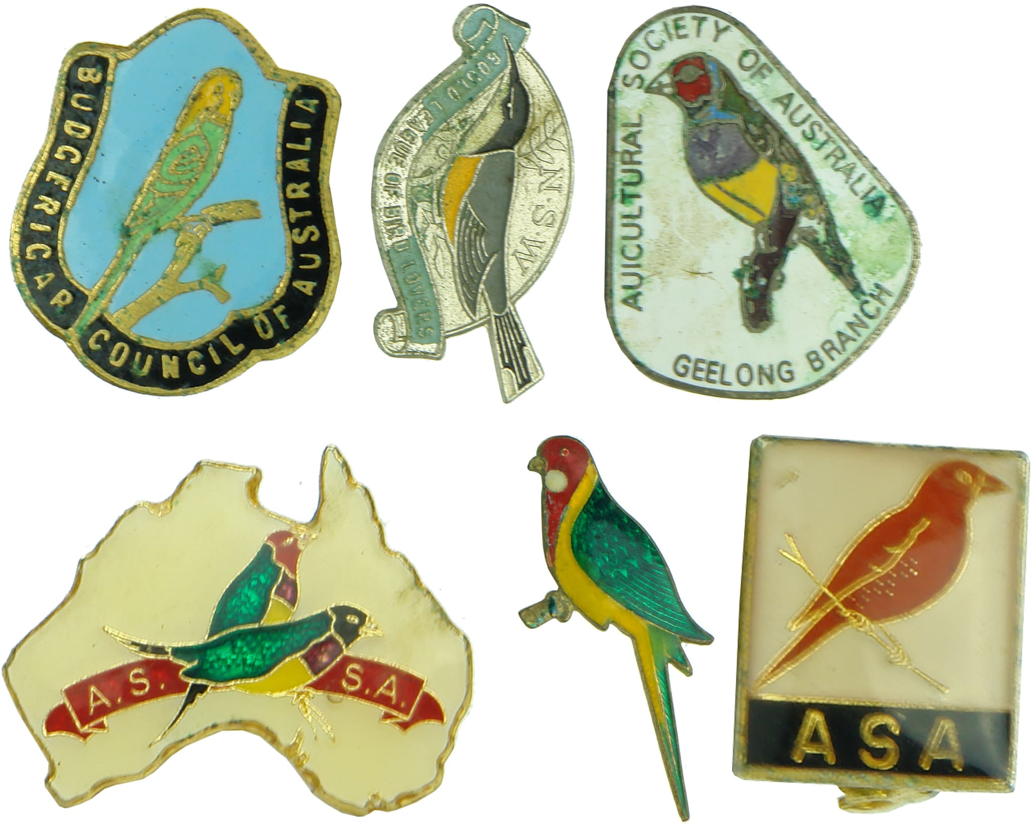 Enamelled Badges Parrots Birds Rosellas