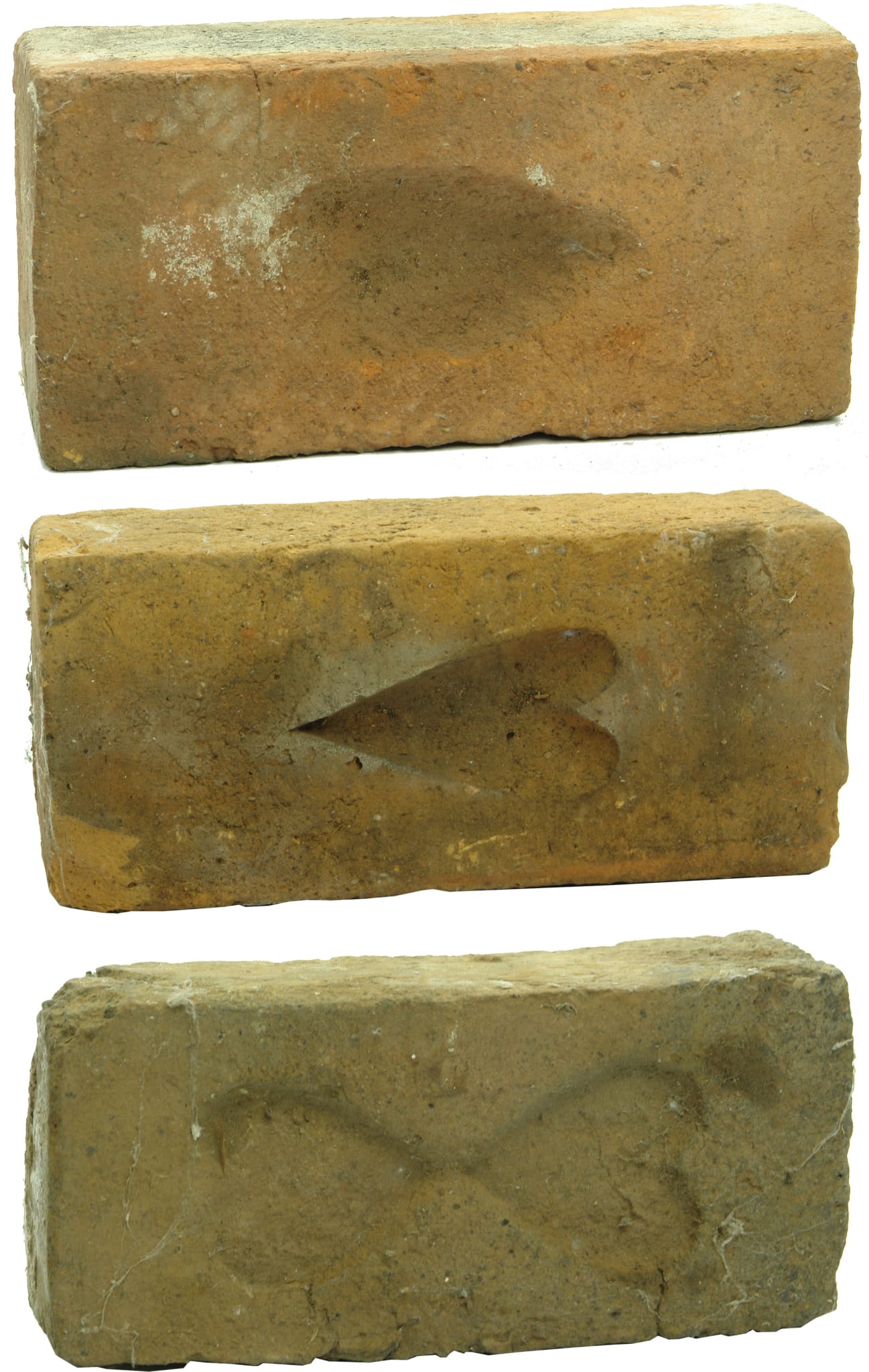 Heart Frog Convict Bricks