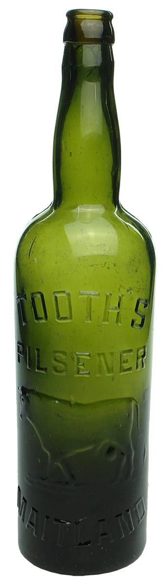 Tooth's Pilsener Maitland Bull Beer Bottle