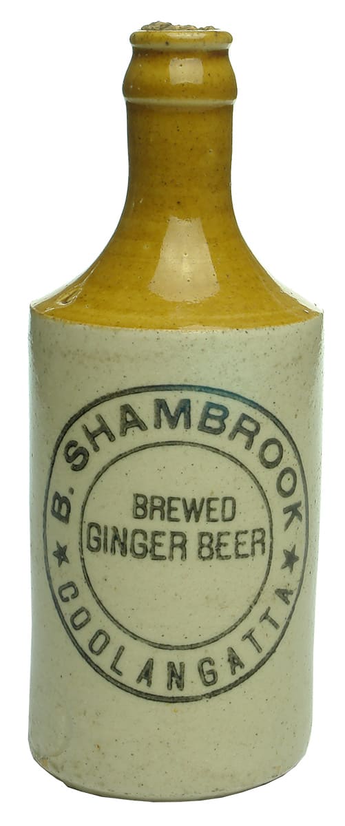 Shambrook Brewed Ginger Beer Coolangatta Stoneware Bottle