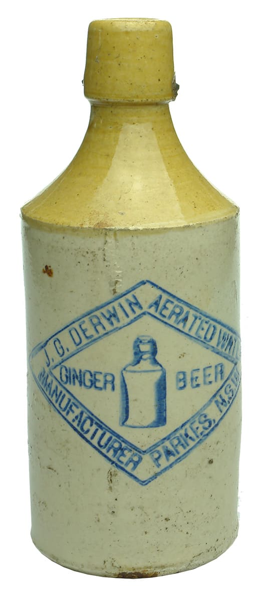 Derwin Parkes Lightning Stopper Ginger Beer Bottle