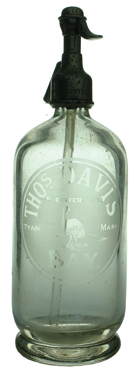 Thos Davis Emu Bay Burnie Antique Soda Syphon