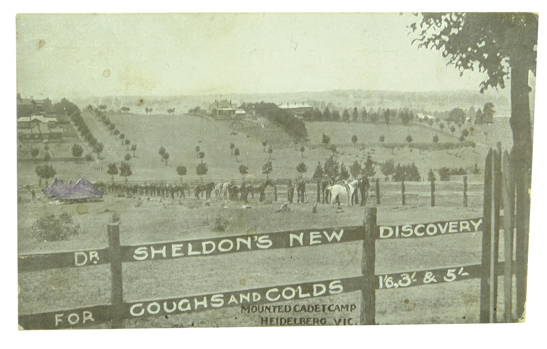 Postcard Mounted Cadet Camp Heidelberg