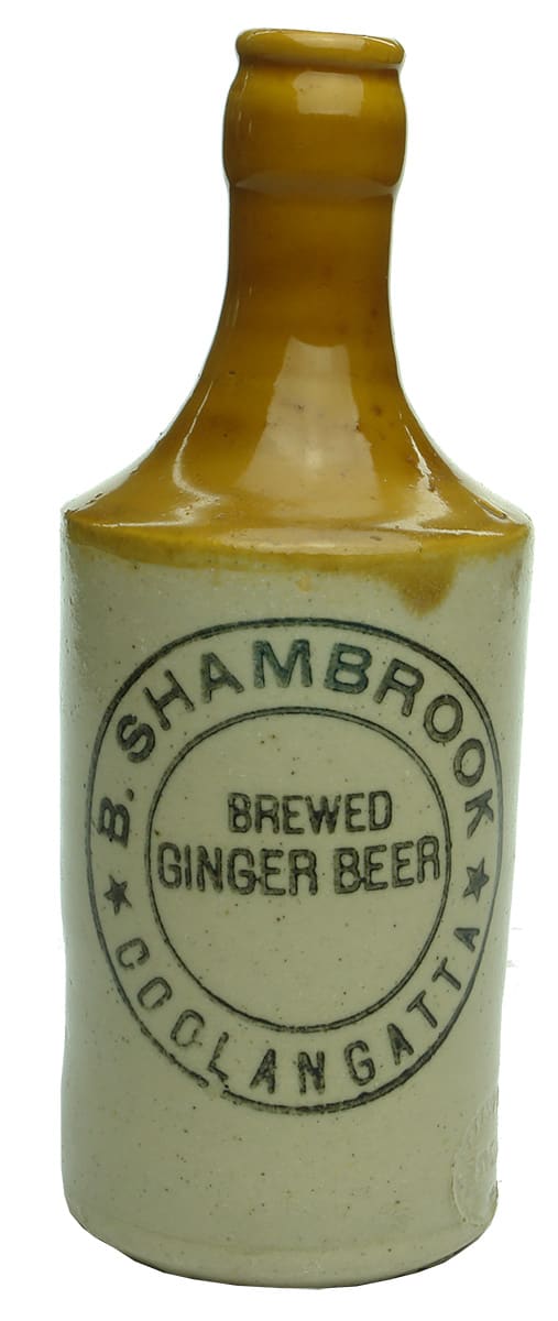 Shambrook Brewed Ginger Beer Coolangatta Stone Bottle