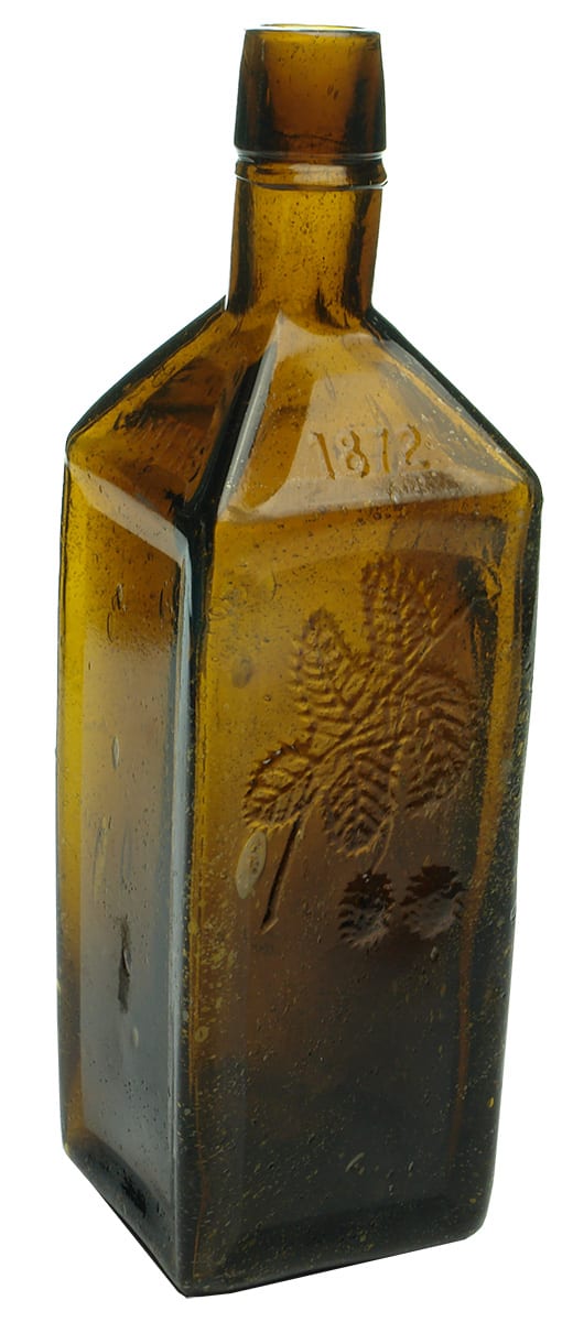 Dr Soule Hop Bitters 1872 Antique Bottle
