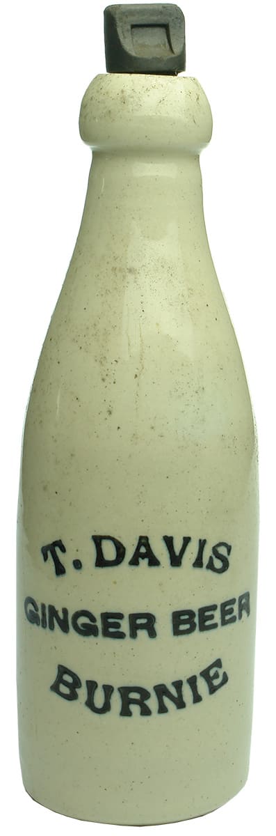 Davis Ginger Beer Burnie Stoneware Bottle