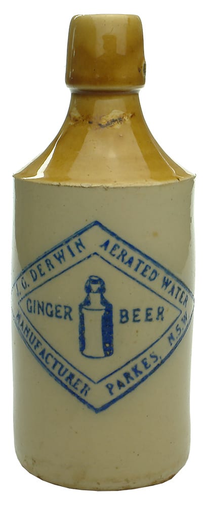 Derwin Parkes Stoneware Ginger Beer Bottle