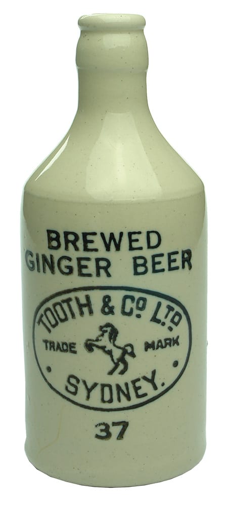 Tooth Sydney Brewed Ginger Beer Stone Bottle