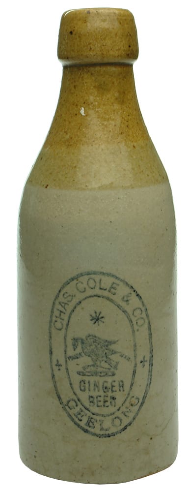 Chas Cole Geelong Antique Stone Ginger Beer Bottle